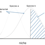 Community Ecology 1 | Biological Principles
